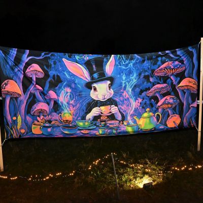 Sylvester-by-Night - Jaap vd Broek