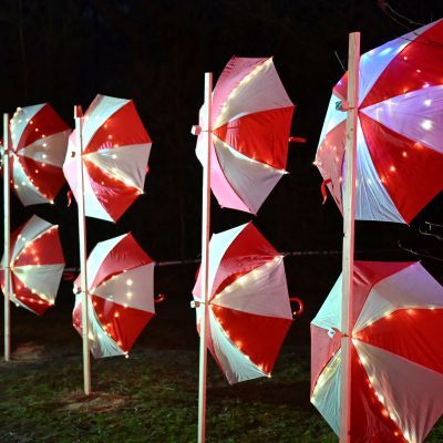 Sylvester-by-Night - Jaap vd Broek