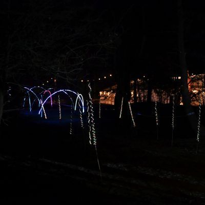 Sylvester-by-Night - Jaap vd Broek