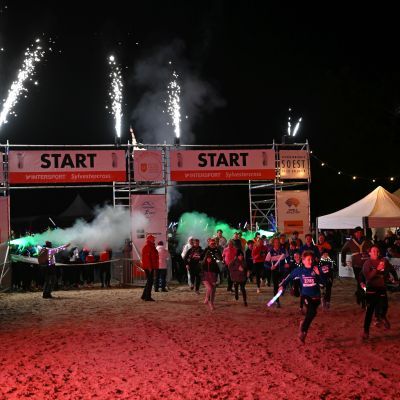 Sylvester-by-Night - Jaap vd Broek