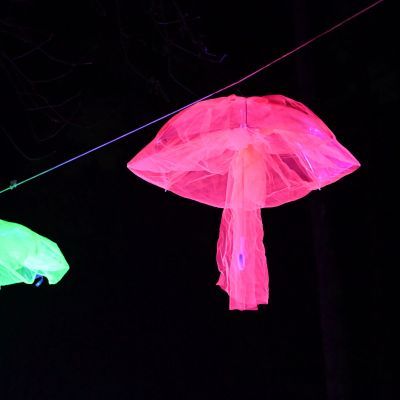 Sylvester-by-Night - Jaap vd Broek