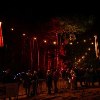 Sylvester-by-Night - Jaap vd Broek