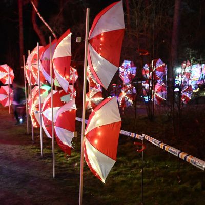 Sylvester-by-Night - Jaap vd Broek