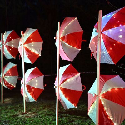 Sylvester-by-Night - Jaap vd Broek