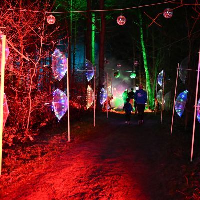 Sylvester-by-Night - Jaap vd Broek