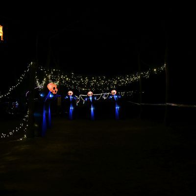 Sylvester-by-Night - Jaap vd Broek