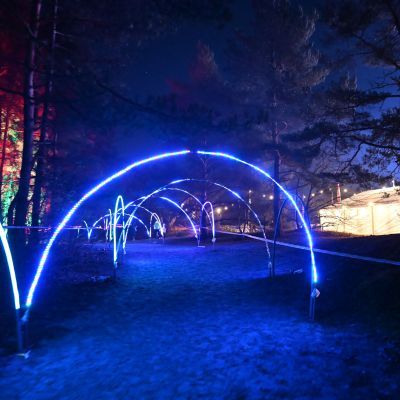 Sylvester-by-Night - Jaap vd Broek