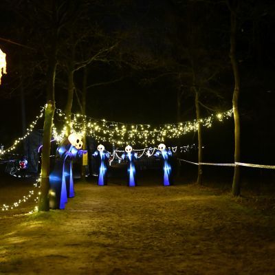 Sylvester-by-Night - Jaap vd Broek