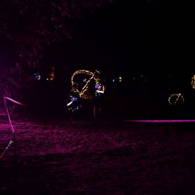 Sylvester-by-Night - Jaap vd Broek