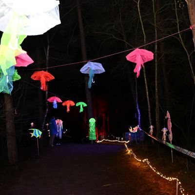 Sylvester-by-Night - Jaap vd Broek