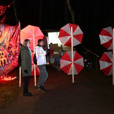 Sylvester-by-Night - Jaap vd Broek