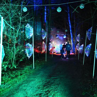 Sylvester-by-Night - Jaap vd Broek