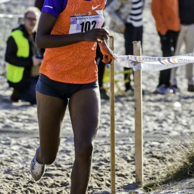 2015 Sylvestercross  © Marc Lourens ©