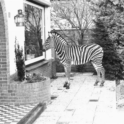 Het dorpsleven in beeld: binnenkort verschijnt het boek over dorpsfotograaf Jaap van den Broek
