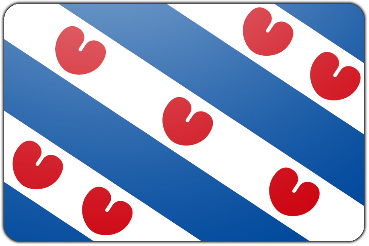 Provincie Friesland Vlag (70x100cm) - Veluwse Vlaggen Industrie B.V.