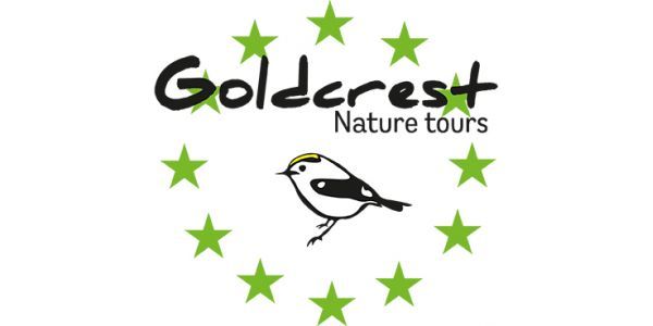 Goldcrest Nature Tours
