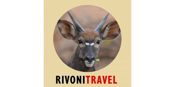 Rivoni Travel