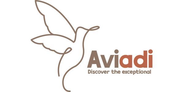 Aviadi Travels 