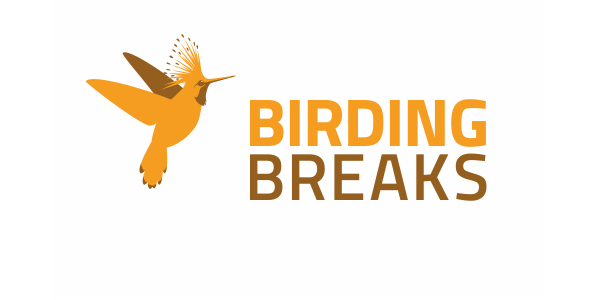 BirdingBreaks.nl