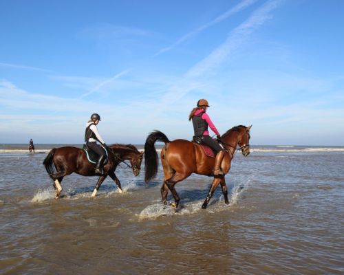Strandrit voor ruiters en menners