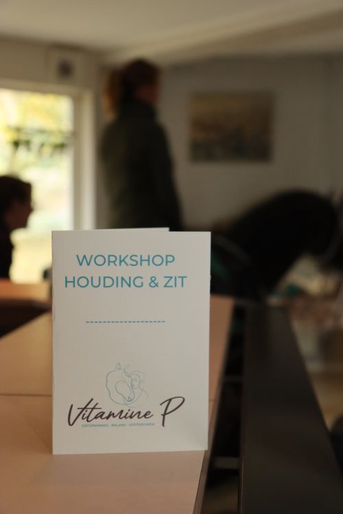 Workshop Houding & Zit