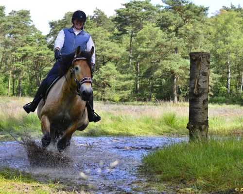 Waterbak vullen bij 'de Vijfsprong' voor ruiters en menners