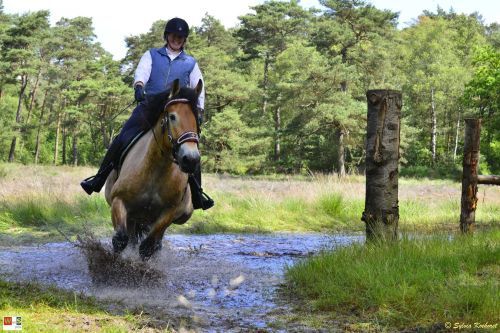 Waterbak vullen bij 'de Vijfsprong' voor ruiters en menners