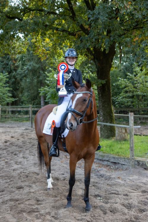 Dressuur  28-09-2025