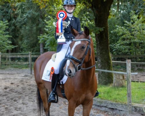 Dressuur  28-09-2025