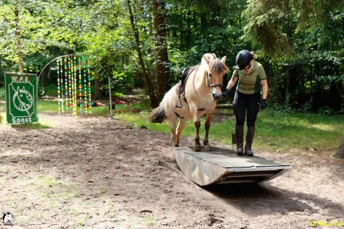 Obstakel- schriktraining en waterbak vullen