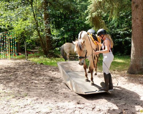 Obstakel- schriktraining en waterbak vullen