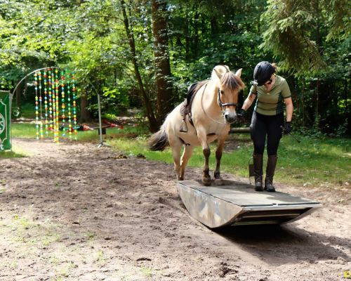 Obstakel- schriktraining en waterbak vullen