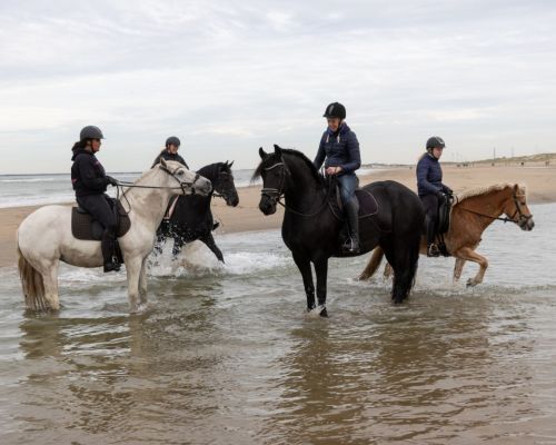 Strandrit voor ruiters