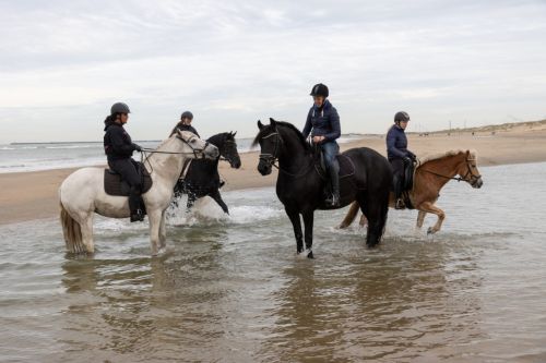 Strandrit voor ruiters 