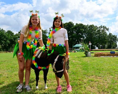 VolksPaardenFeest