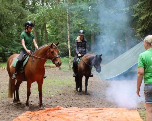 Obstakel- schriktraining en waterbak vullen