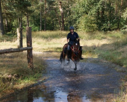 Waterbak vullen bij 'de Vijfsprong' voor ruiters en menners